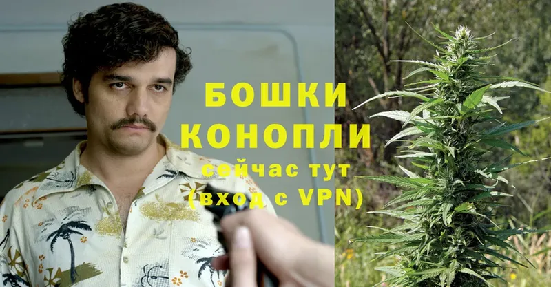 продажа наркотиков  Бирюч  Каннабис Ganja 